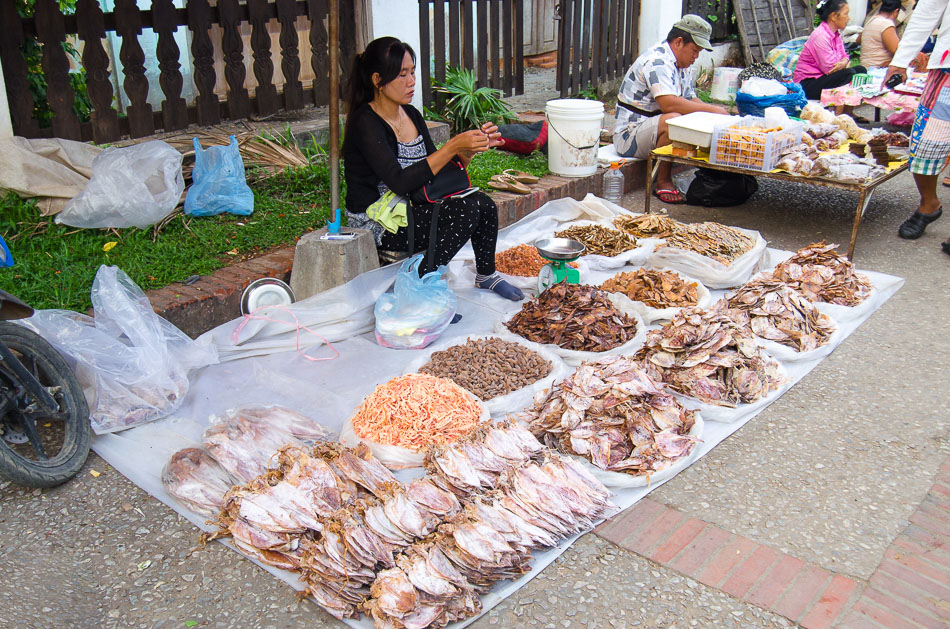 Dry squid on Luang Prabang morning market