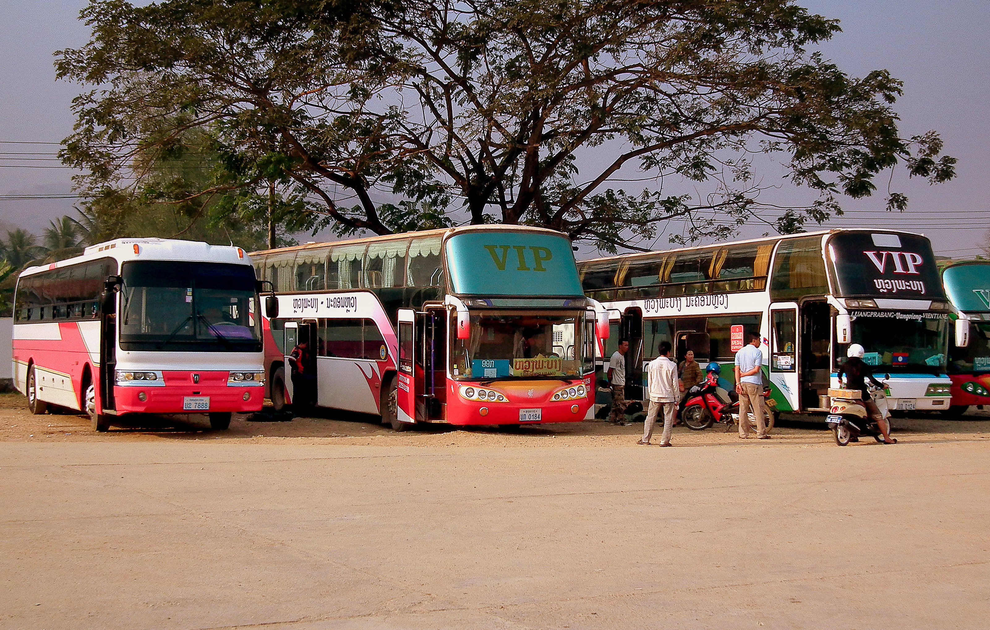 Vip bus in Luang Prabang Bus Station