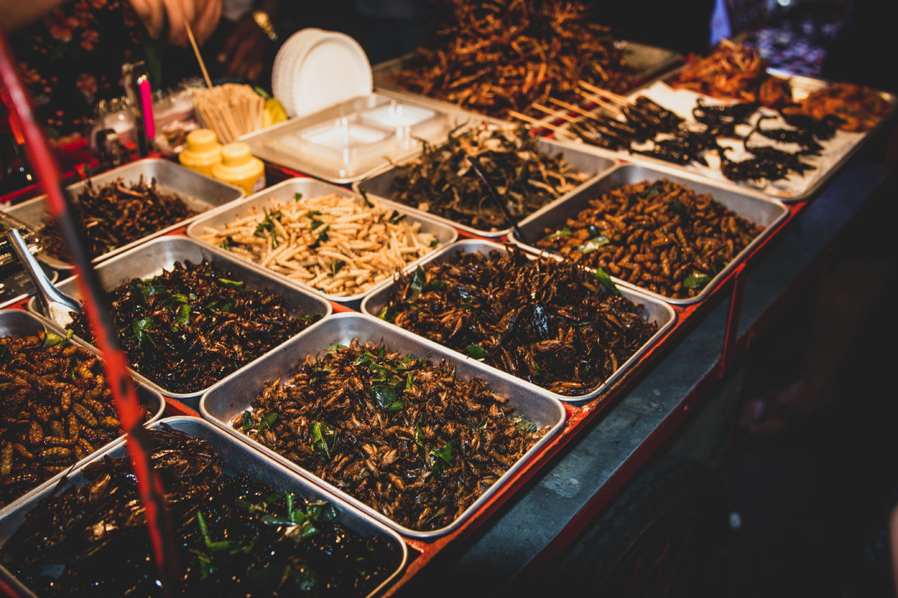 Fried bugs Thailand