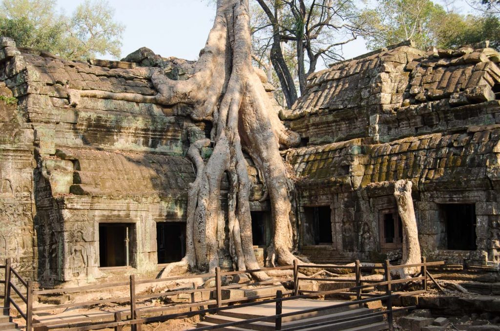 Ta Prohm Temple Angkor
